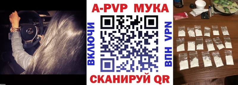 Alfa_PVP СК КРИС  Бабушкин 