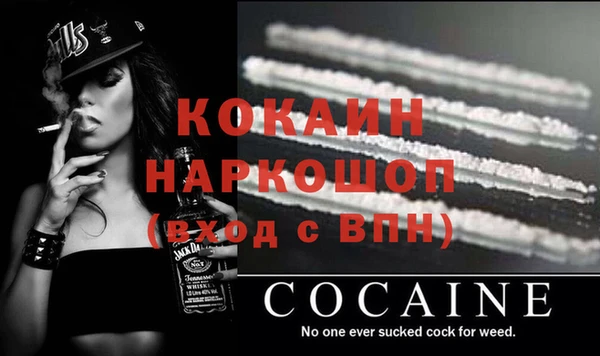 ГАЛЛЮЦИНОГЕННЫЕ ГРИБЫ Гусев