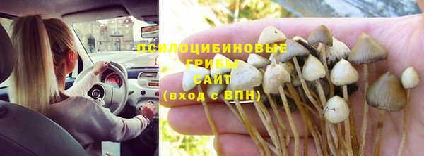 MESCALINE Алзамай