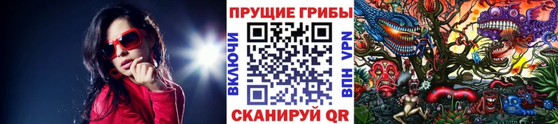 hydra зеркало  Бабушкин  Галлюциногенные грибы Cubensis 