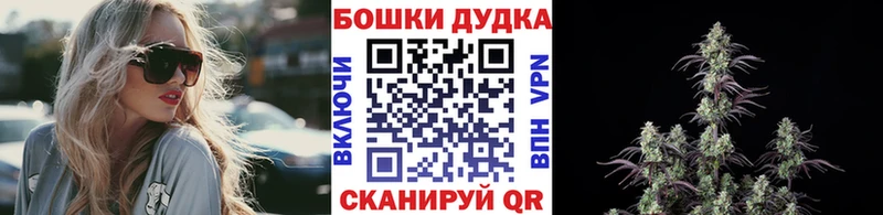 Канабис SATIVA & INDICA  как найти наркотики  Бабушкин 